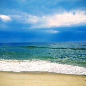 Meet your Posher, Shayna